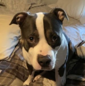 Meet your Posher, Diane